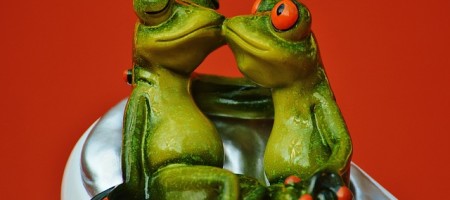 frogs-1250895_640